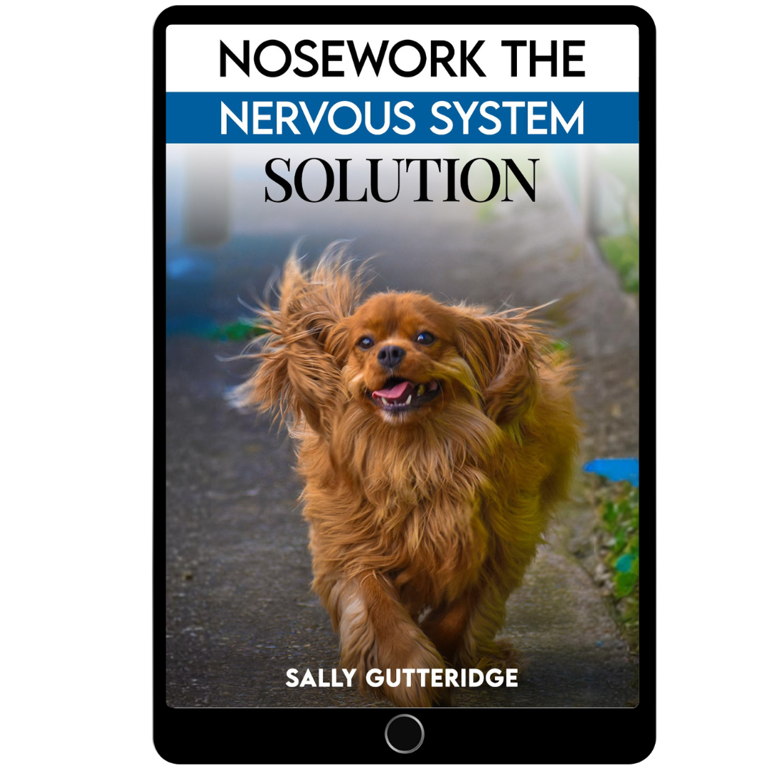 Nosework The Nervous System Solution