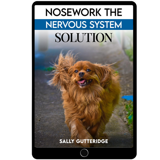 Nosework The Nervous System Solution