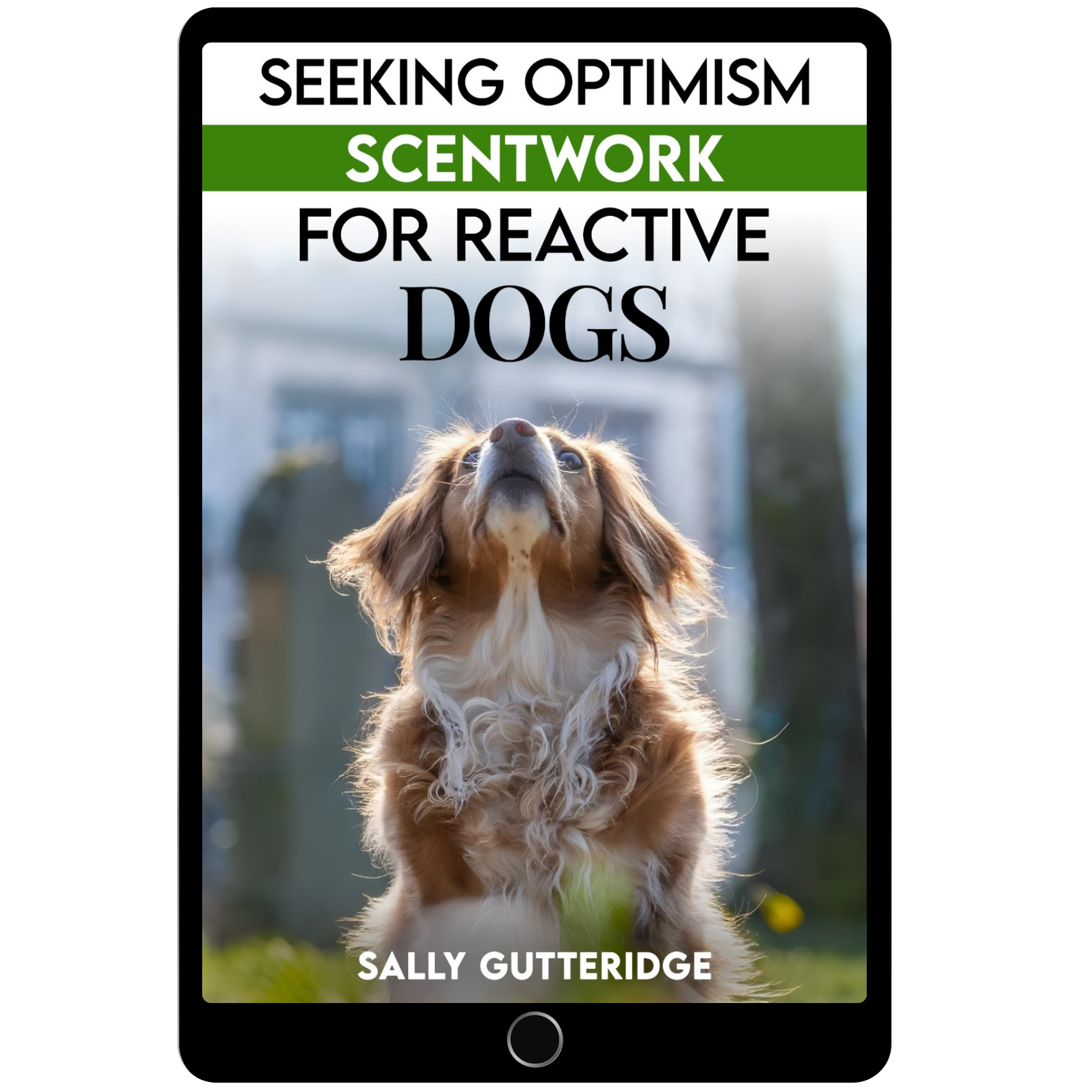 Seeking Optimism: Scentwork For Reactive Dogs