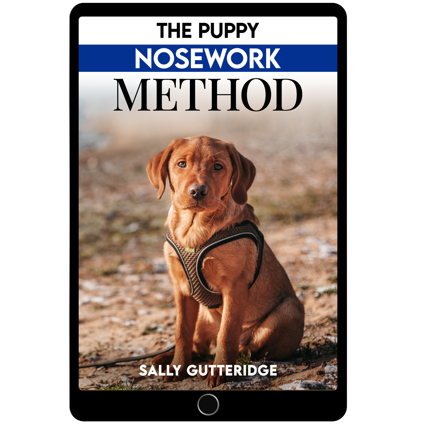 The Puppy Nosework Method