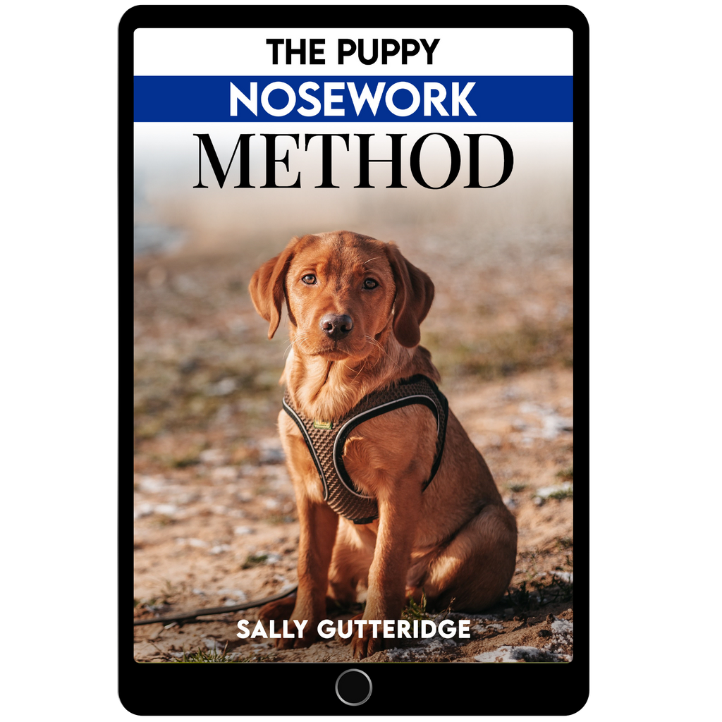 The Puppy Nosework Method
