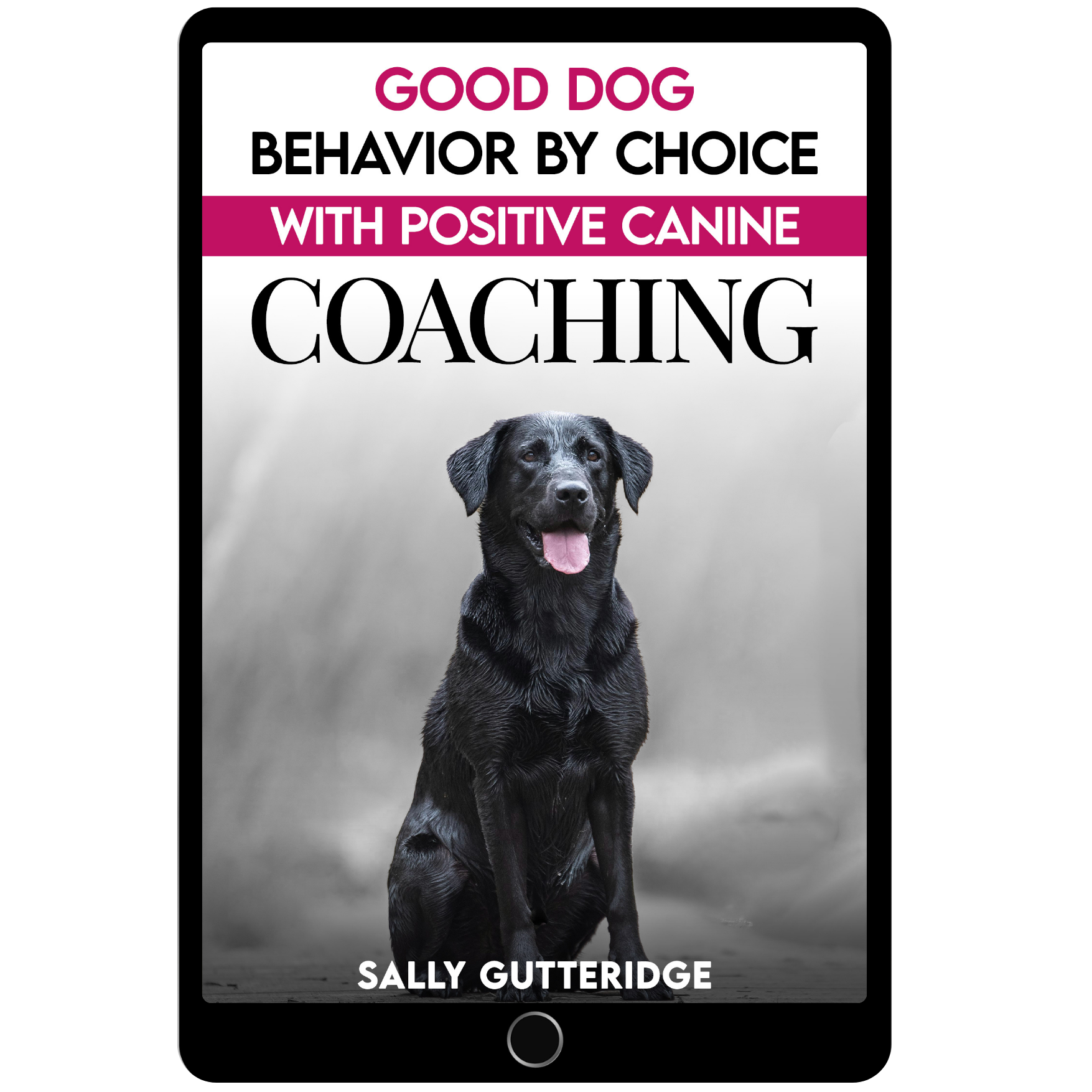 Good Dog Behaviour By Choice With Positive Canine Coaching.