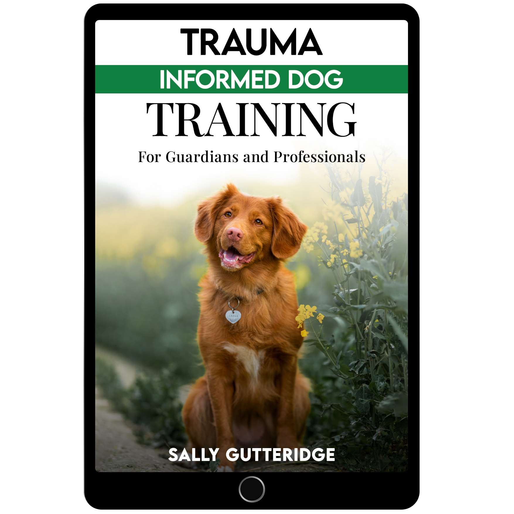 Trauma Informed Dog Training