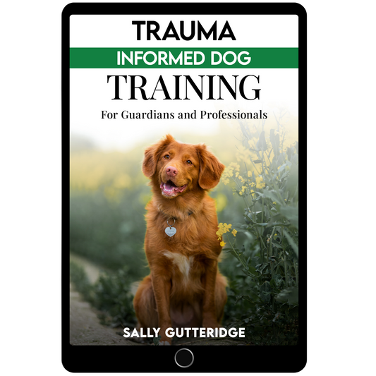 Trauma Informed Dog Training