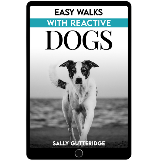 Easy Walks With Reactive Dogs.