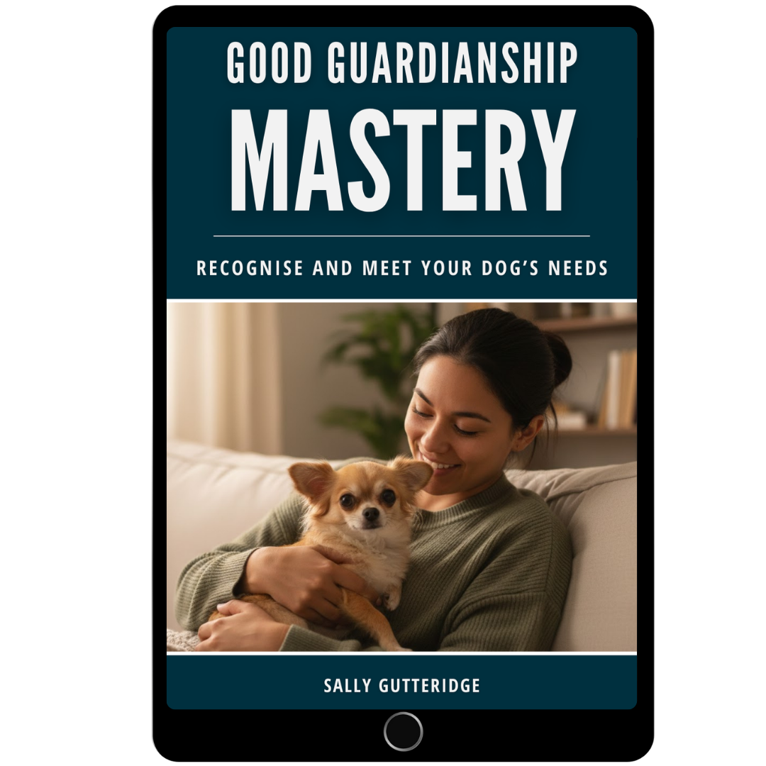 Good Guardianship Mastery: Recognise and Meet Your Dog's Needs
